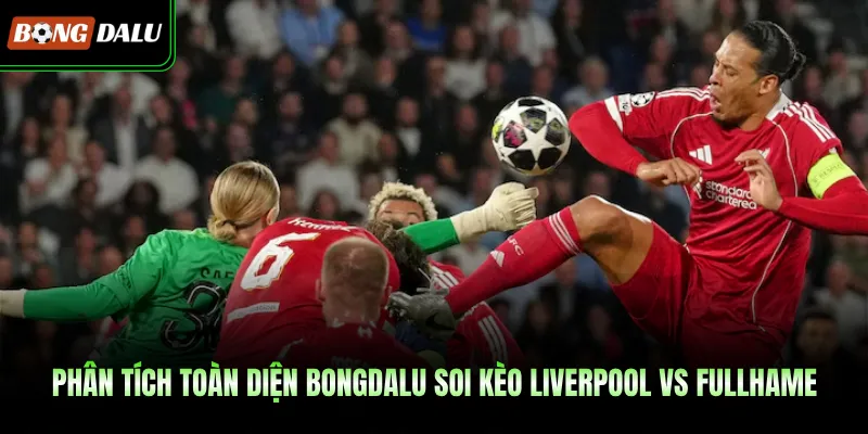 Phân tích toàn diện Bongdalu soi kèo Liverpool vs Fullhame