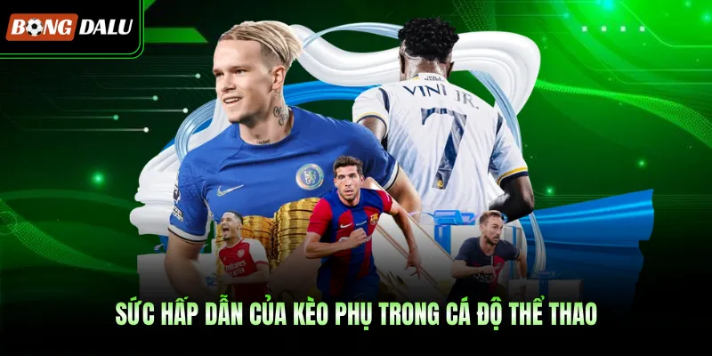 Sức hấp dẫn của kèo phụ trong cá độ thể thao