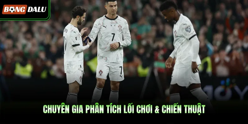 Chuyên gia phân tích lối chơi & chiến thuật