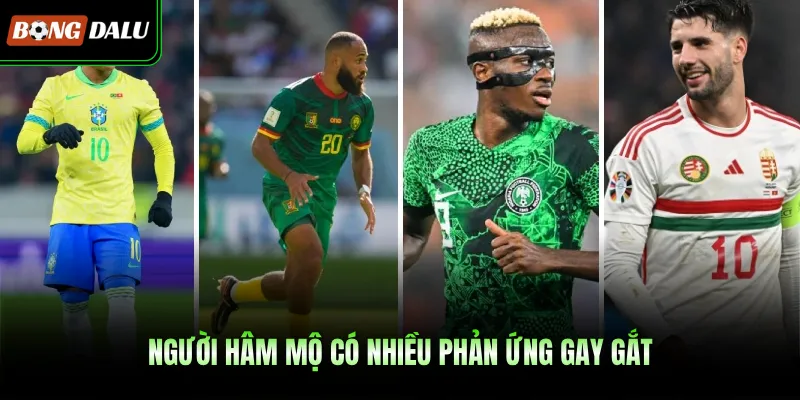 Người hâm mộ có nhiều phản ứng gay gắt