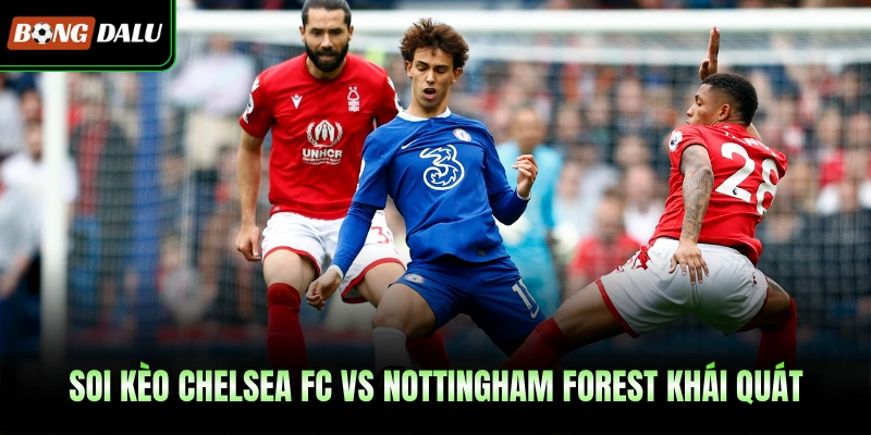 Soi kèo Chelsea FC vs Nottingham Forest khái quát