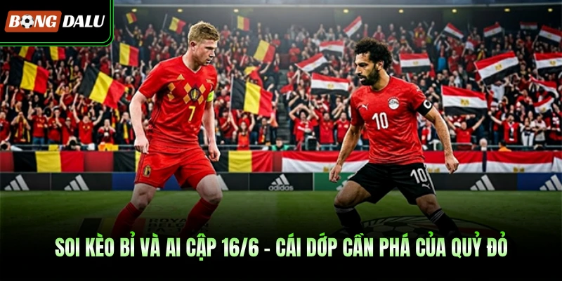 Soi Kèo Bỉ Và Ai Cập 16/6 – Cái Dớp Cần Phá Của Quỷ Đỏ